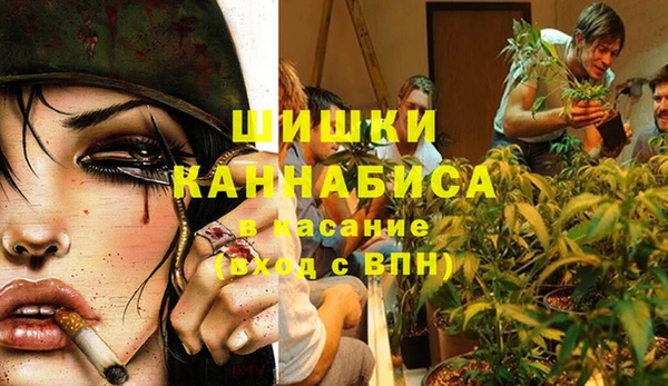 марихуана Болотное
